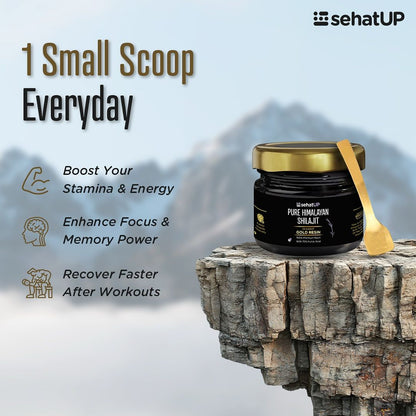 Himalayan Shilajit - Dietary Supplement (Original)